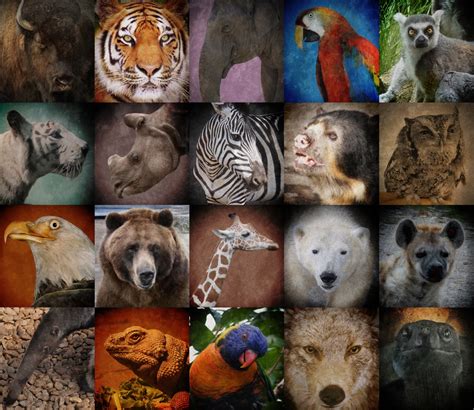 A World Of Endangered Animals 2025 𝚆𝚊𝚝𝚌𝚑 On Desktop PC
